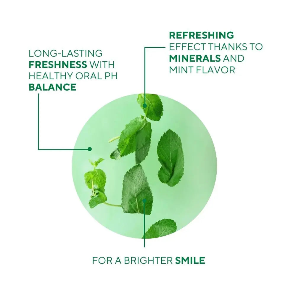 Fresh Mint Refreshing Toothpaste